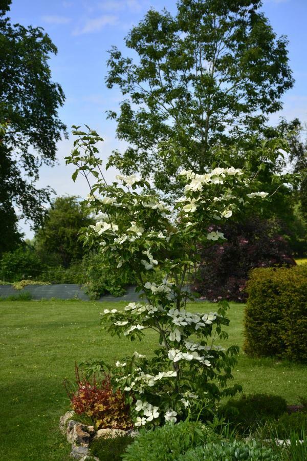 Gite "Cote Jardin" Vannecrocq 外观 照片